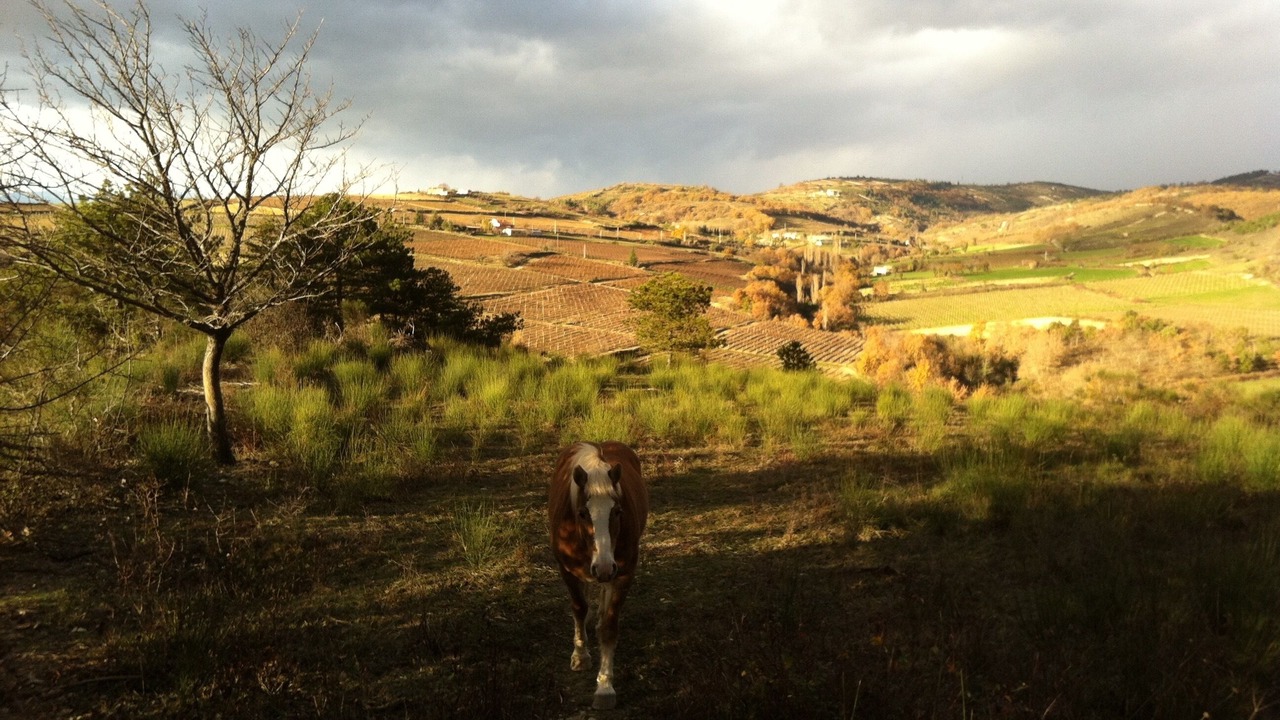 Photo of Outdoor in Mirabel