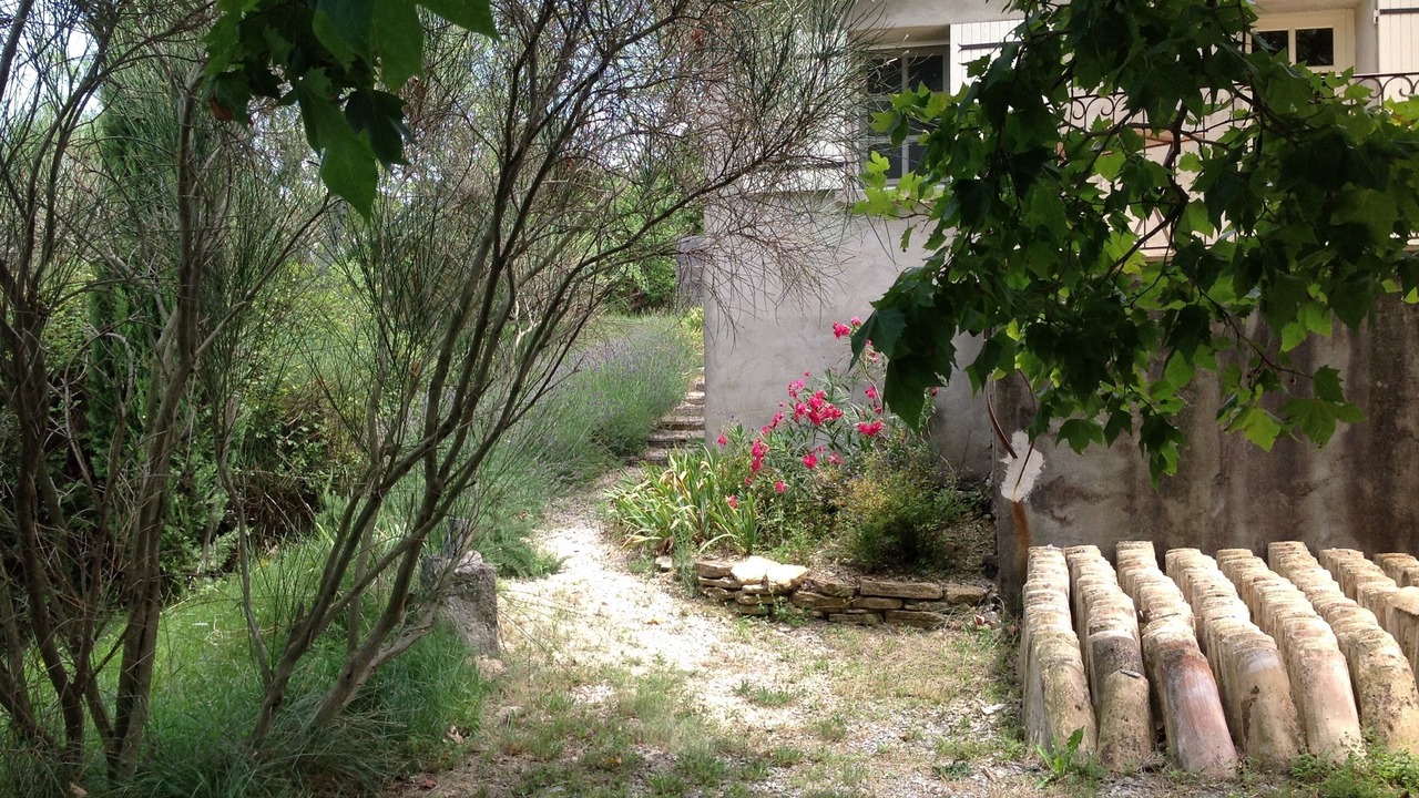 Photo of Outdoor in Mirabel