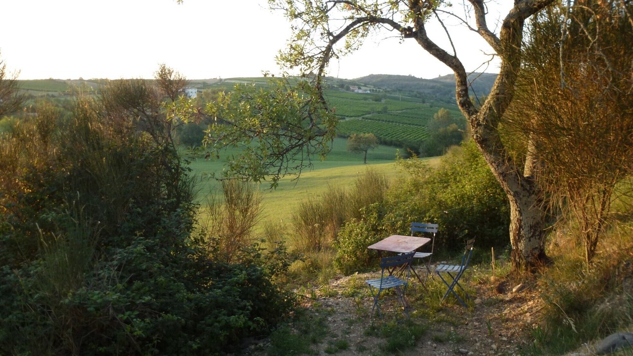 Photo of Outdoor in Mirabel