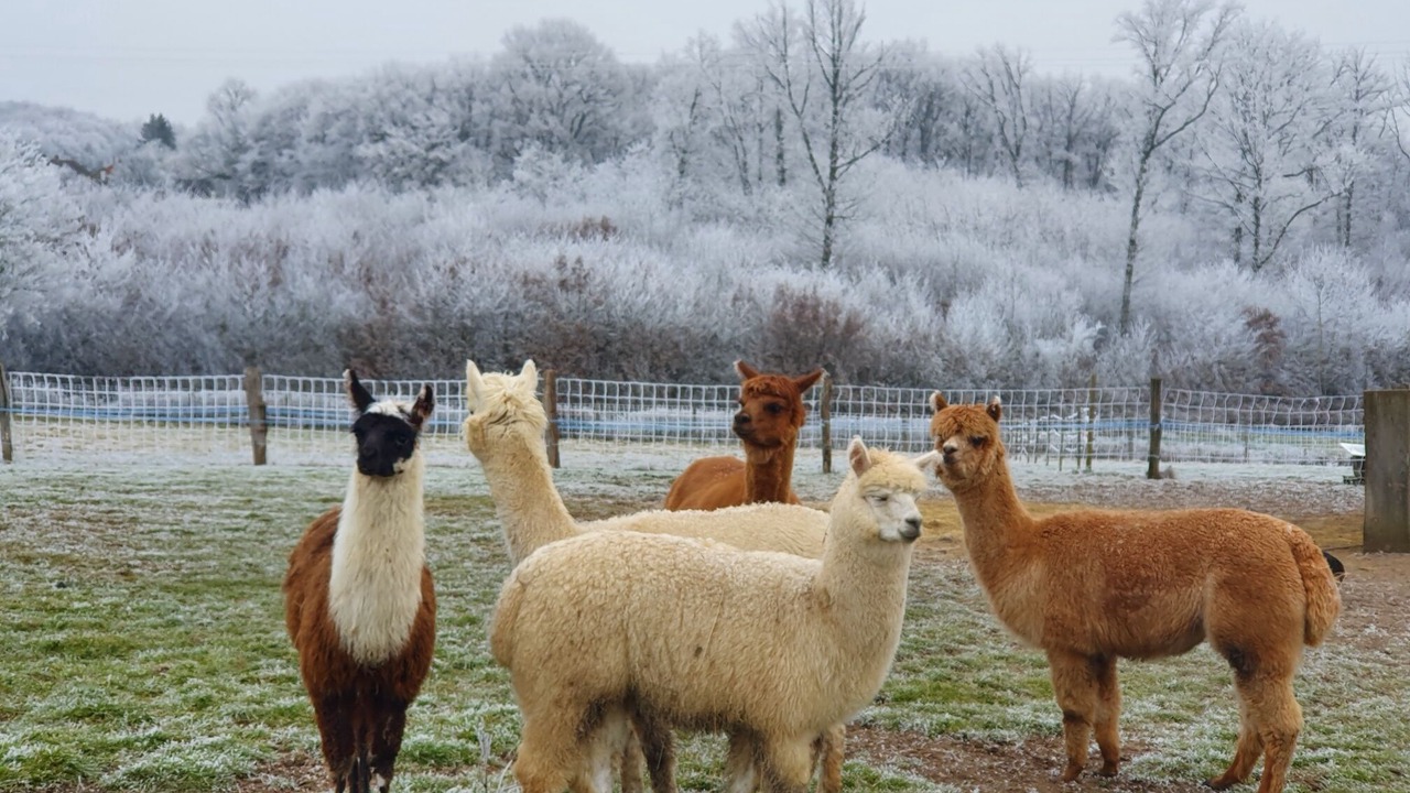 Photo of Others in Savigny-Poil-Fol