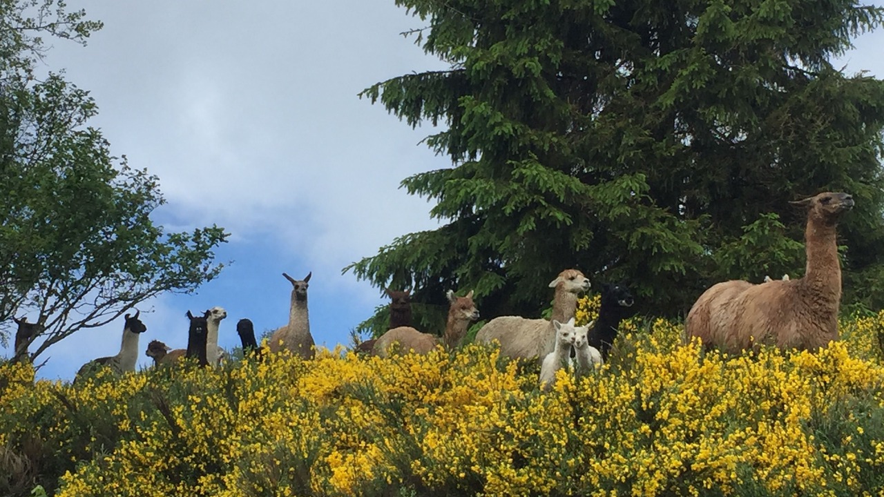 Photo of Outdoor in La Bresse