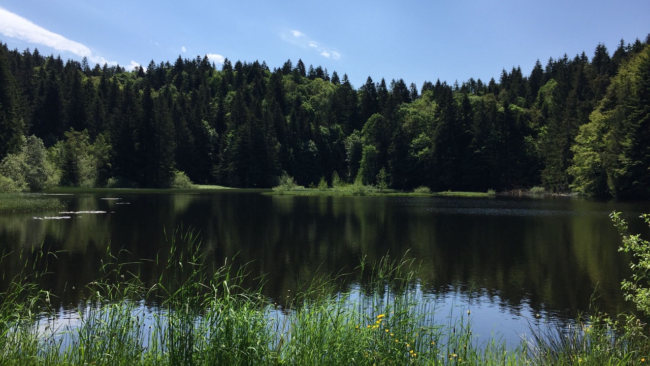 Photo of Outdoor in La Bresse