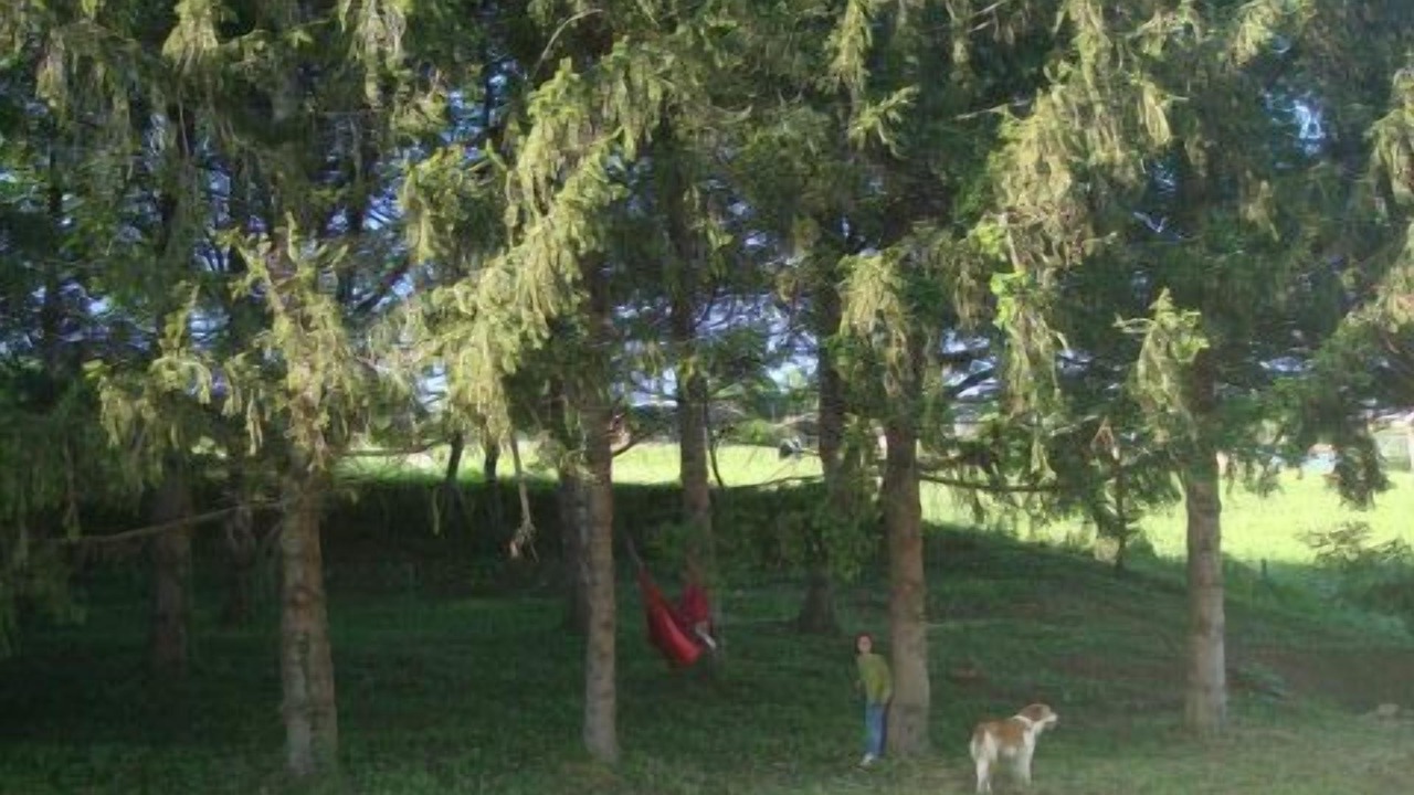 Photo of Outdoor in Le Grand Serre