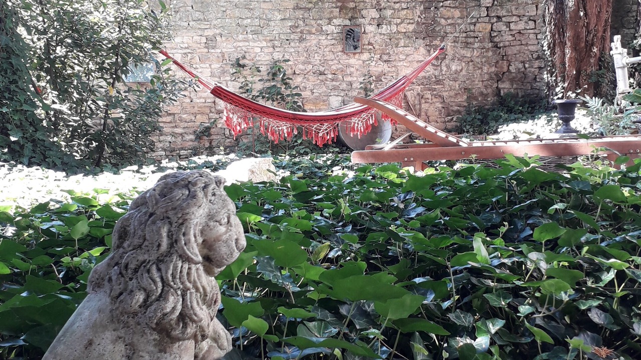 Photo of Outdoor in Centre