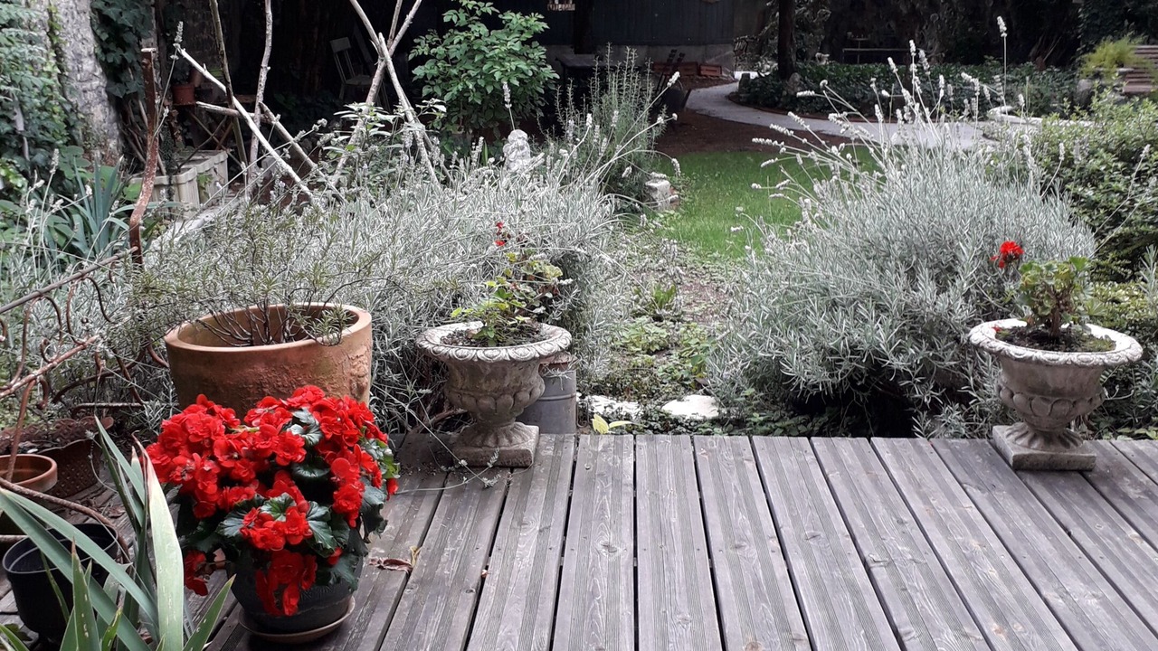 Photo of Patio Balcony in Centre