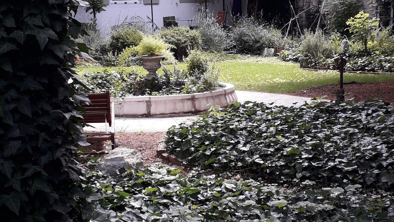 Photo of Outdoor in Centre