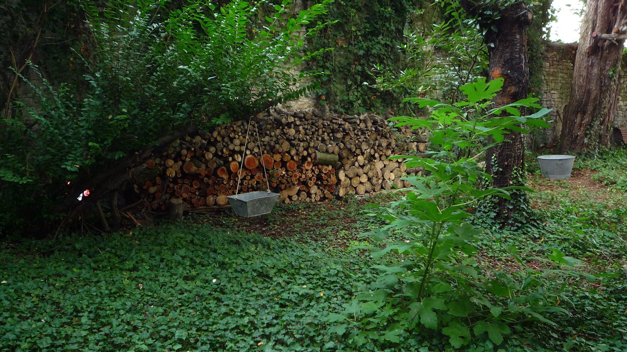 Photo of Outdoor in Centre
