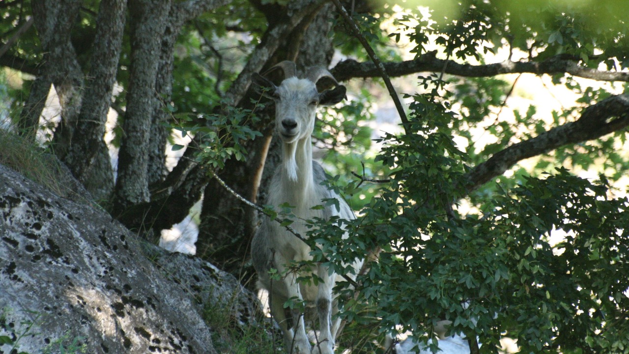 Photo of Outdoor in Vif