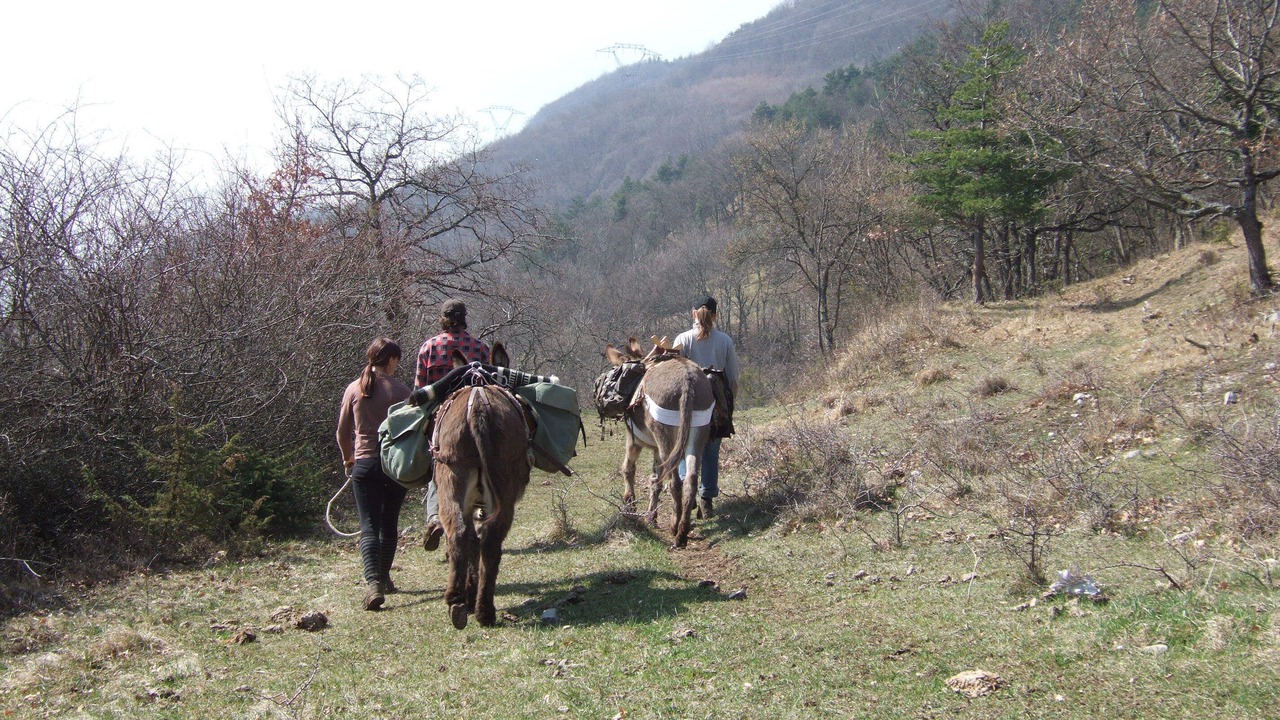 Photo of Others in Vif