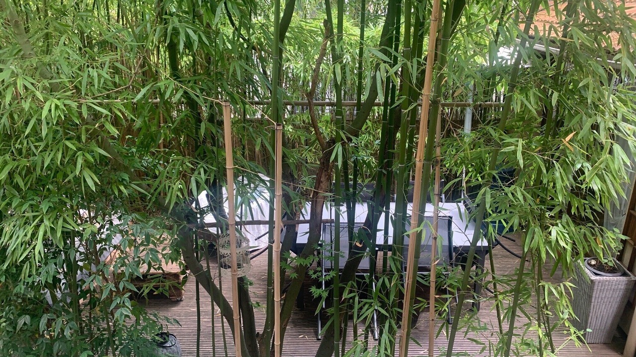 Photo of Outdoor in Le Perreux-sur-Marne