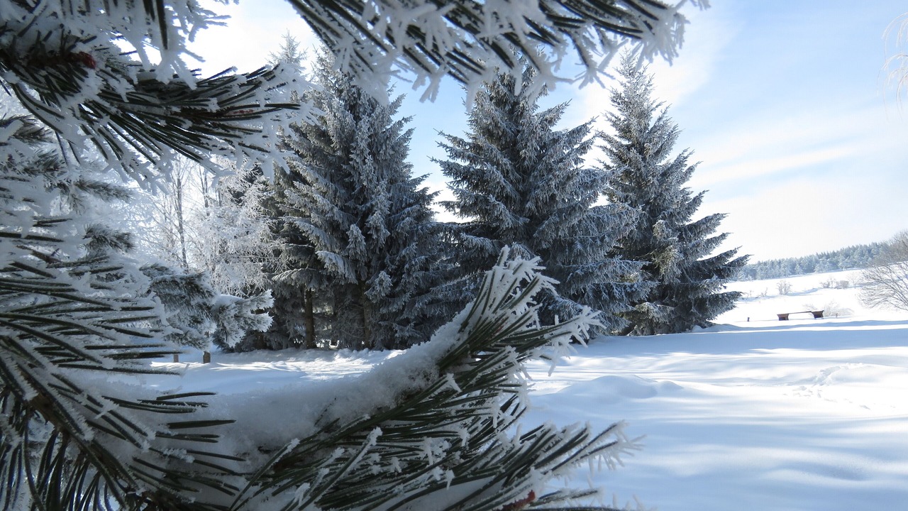 Photo of Outdoor in Moudeyres