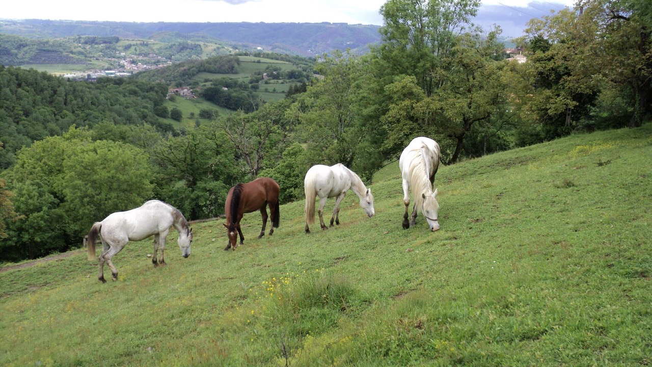 Photo of Outdoor in Firmi