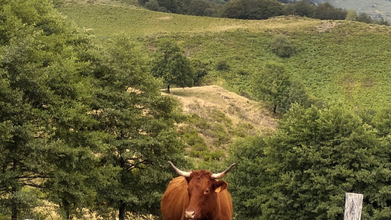 Photo of Outdoor in Saint-Jacques-des-Blats