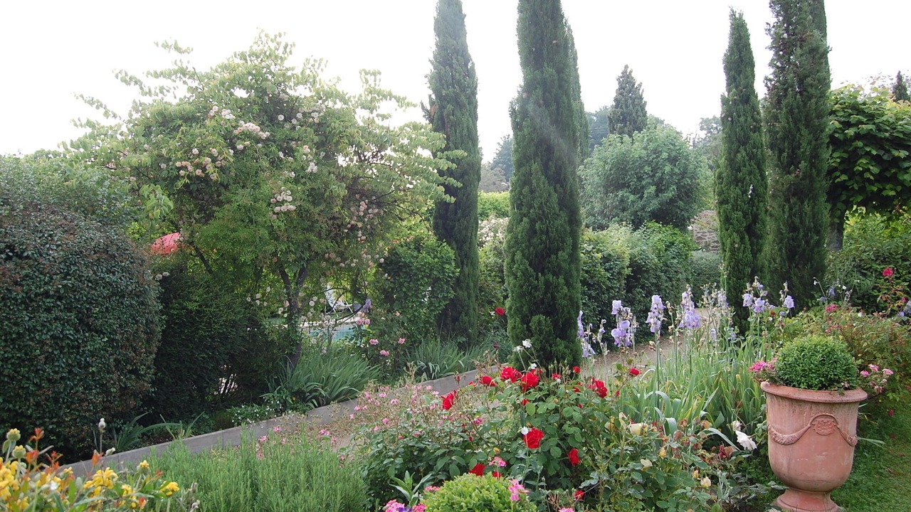 Photo of Outdoor in Upie