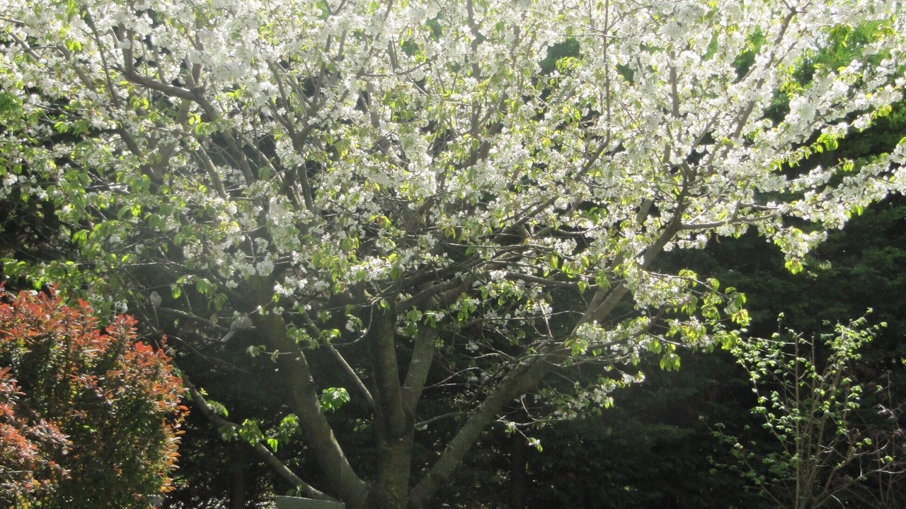 Photo of Outdoor in Upie