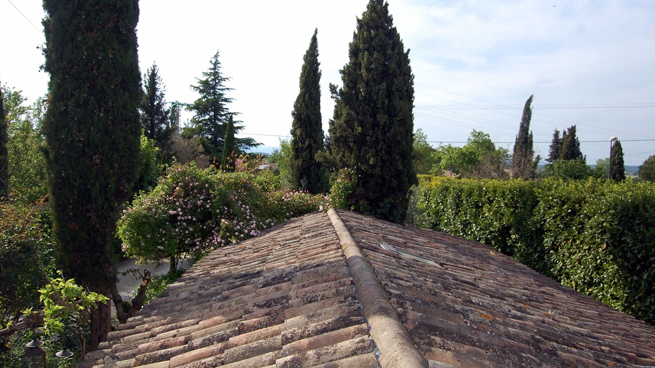 Photo of Outdoor in Upie
