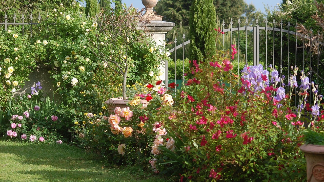 Photo of Outdoor in Upie