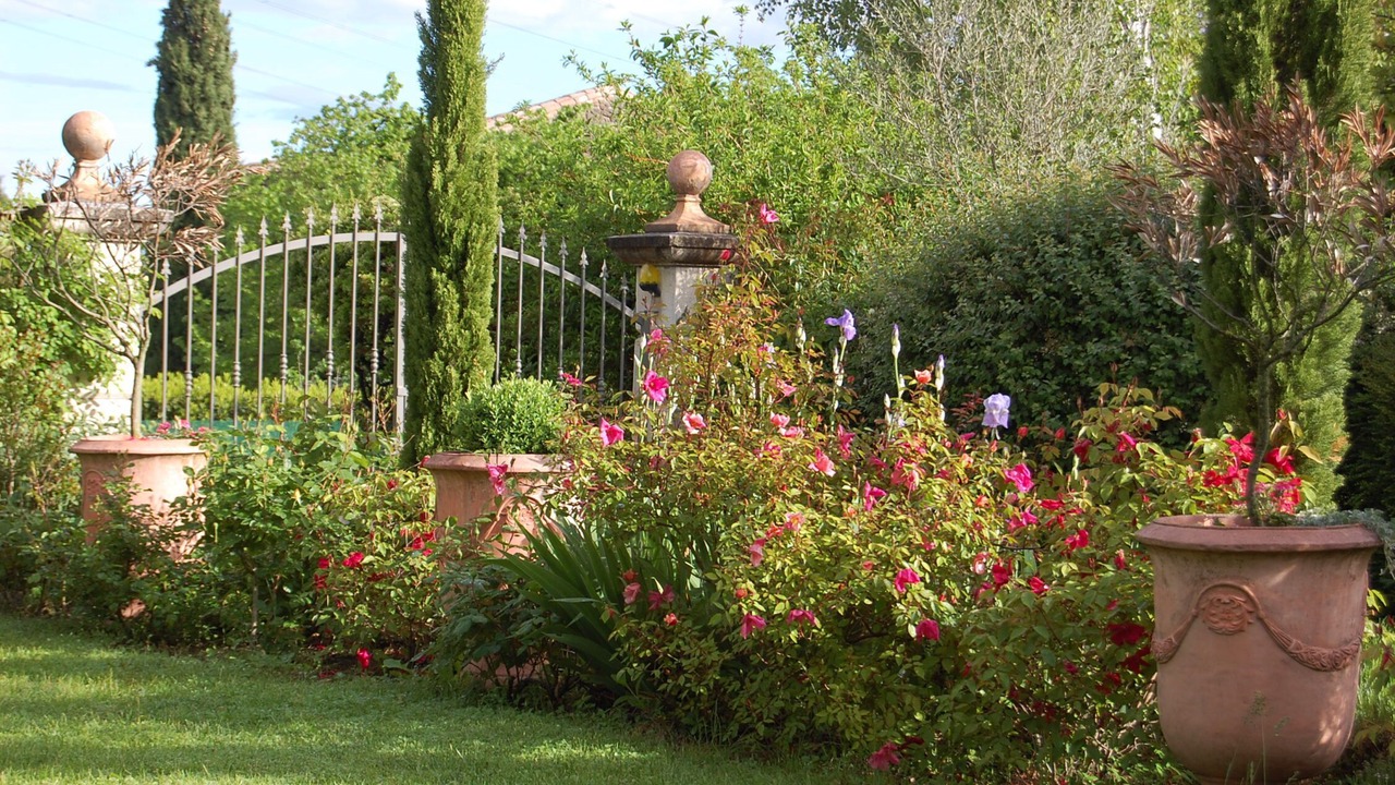 Photo of Outdoor in Upie