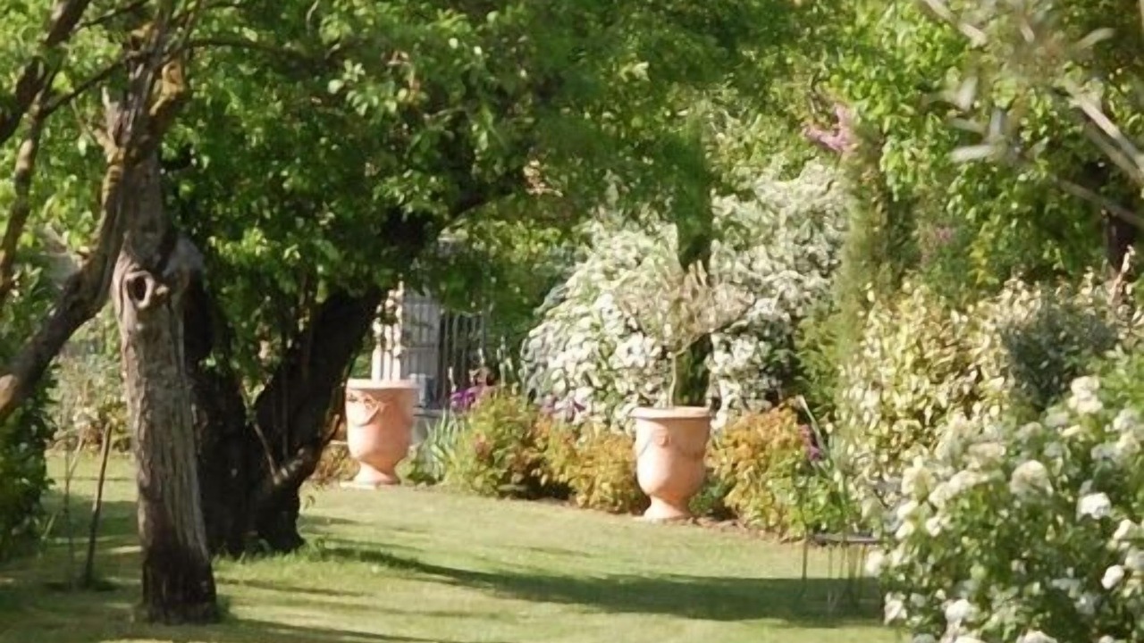Photo of Outdoor in Upie