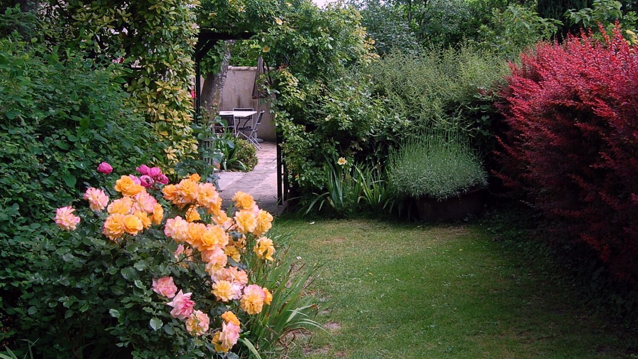 Photo of Outdoor in Upie