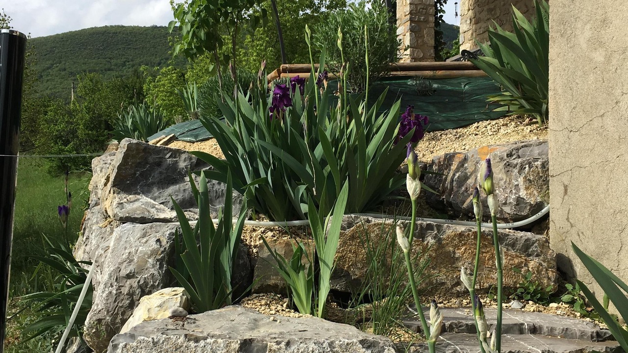 Photo of Outdoor in Sainte-Jalle