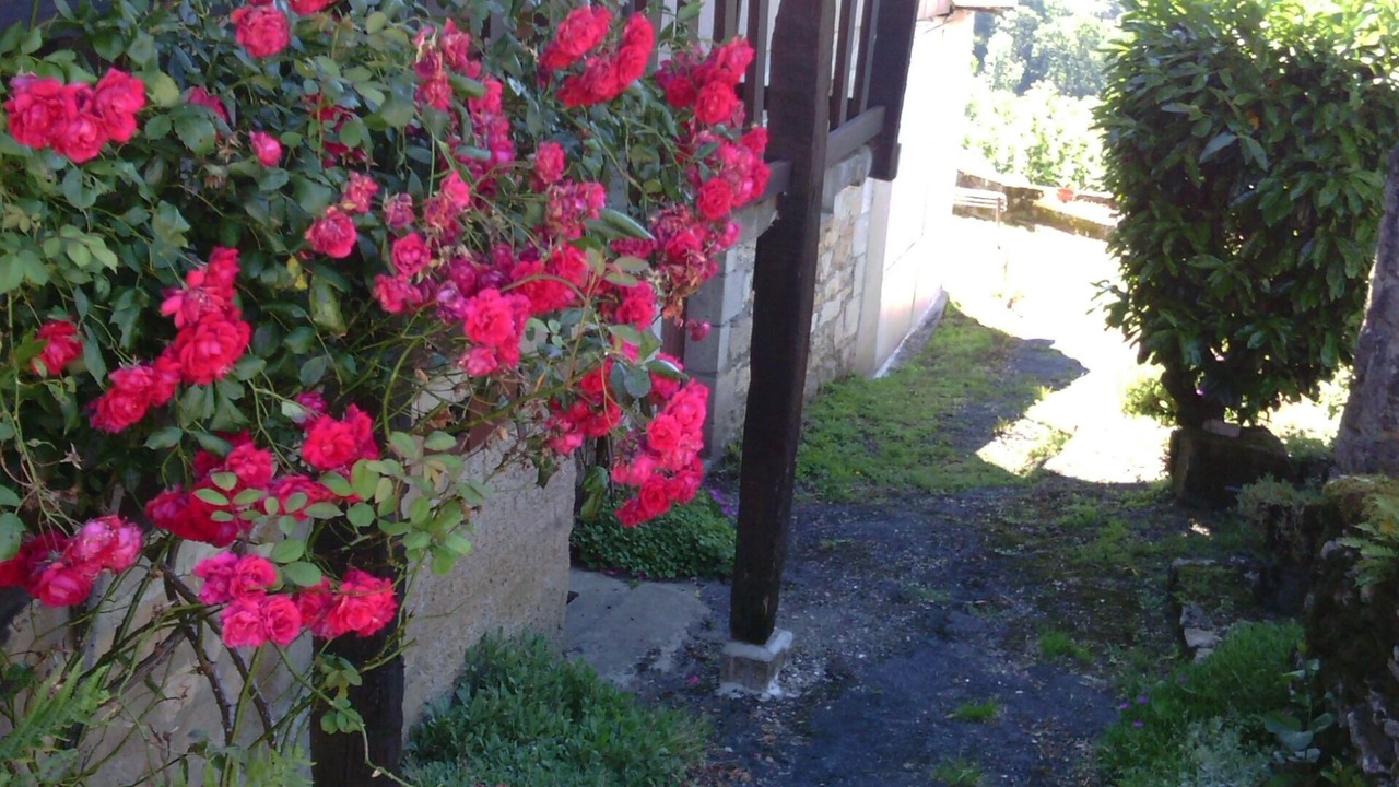 Photo of Outdoor in Castelnau-de-Mandailles