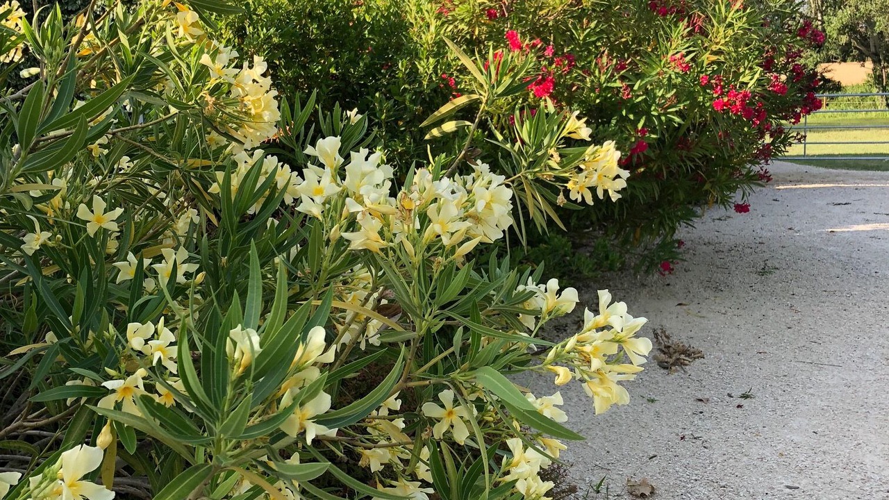 Photo of Outdoor in Cleon-d'Andran
