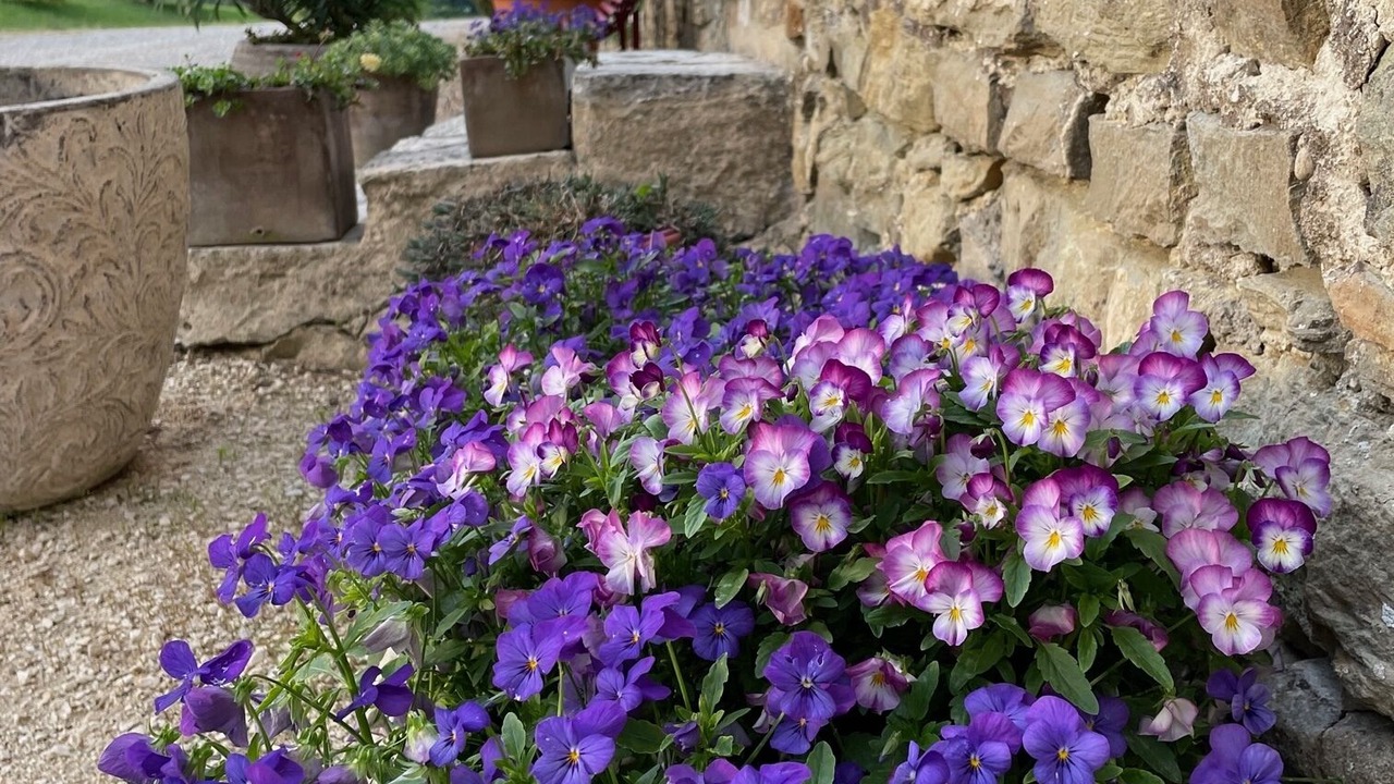 Photo of Outdoor in Cleon-d'Andran