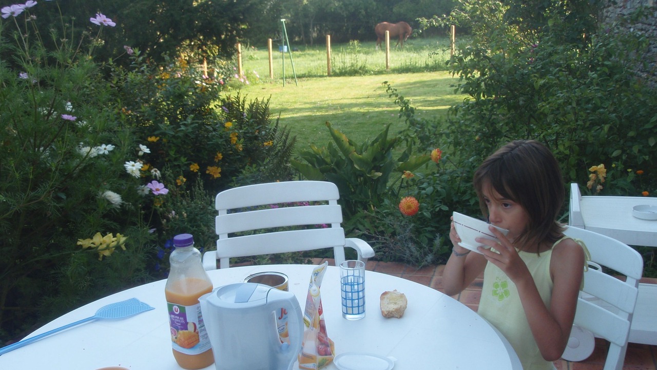 Photo of Outdoor in Michaugues