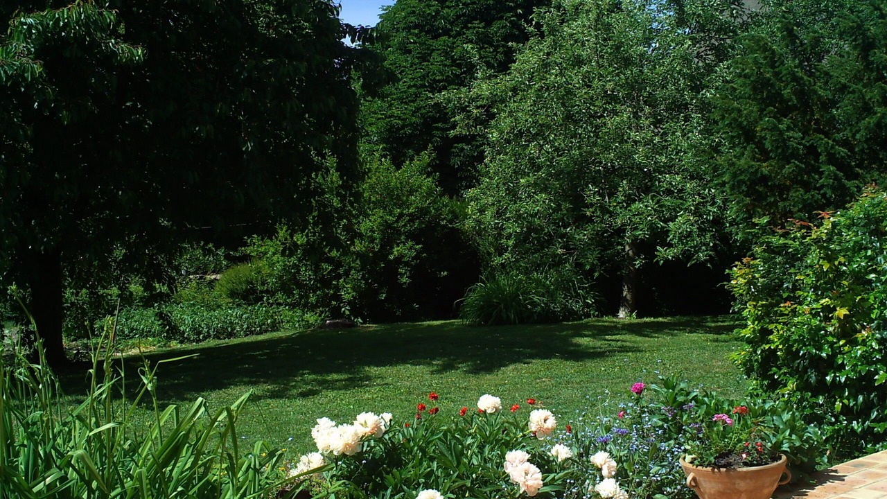 Photo of Outdoor in Michaugues