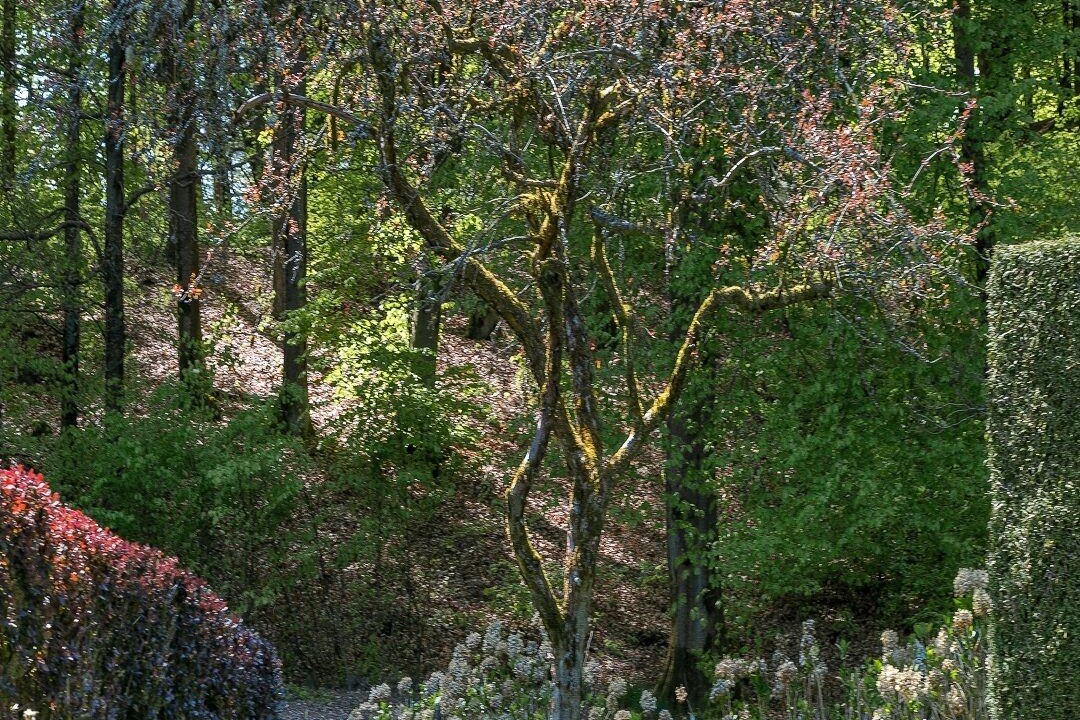 Photo of Outdoor in Epinal