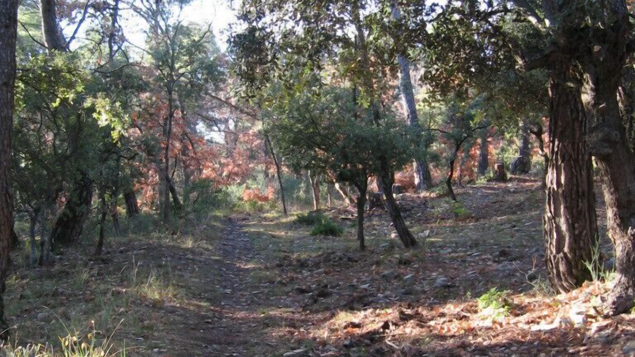 Photo of Outdoor in Faucon
