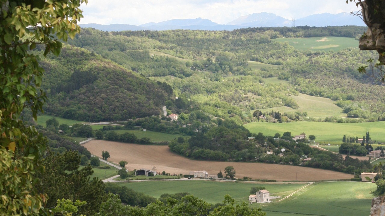 Photo of Others in Marsanne