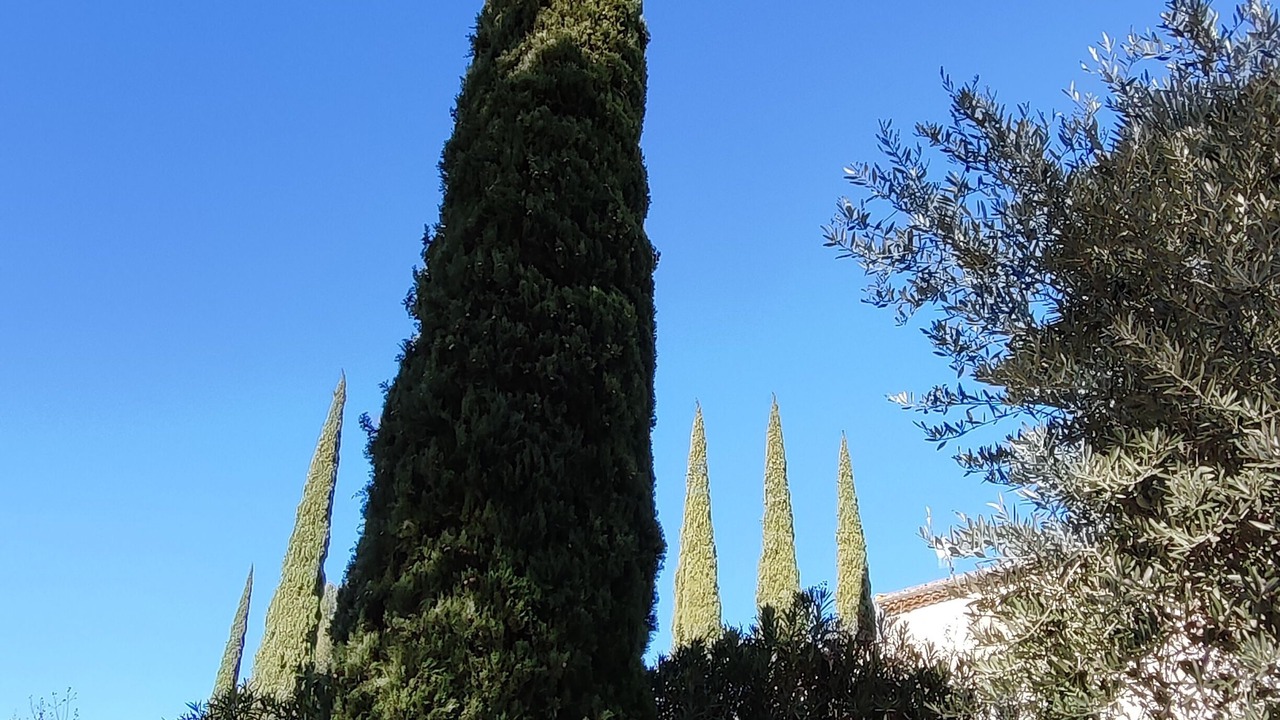 Photo of Outdoor in Marsanne