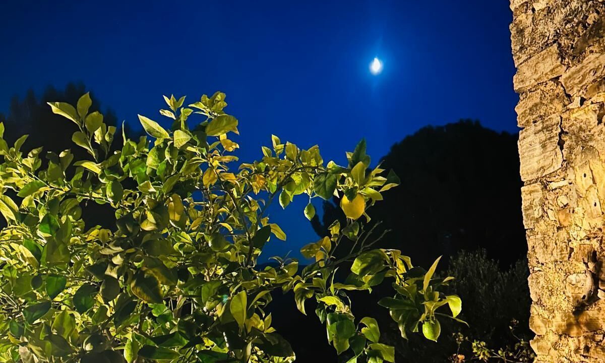 Photo of Outdoor in Marsanne
