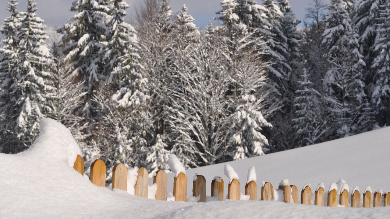 Photo of Outdoor in Premanon
