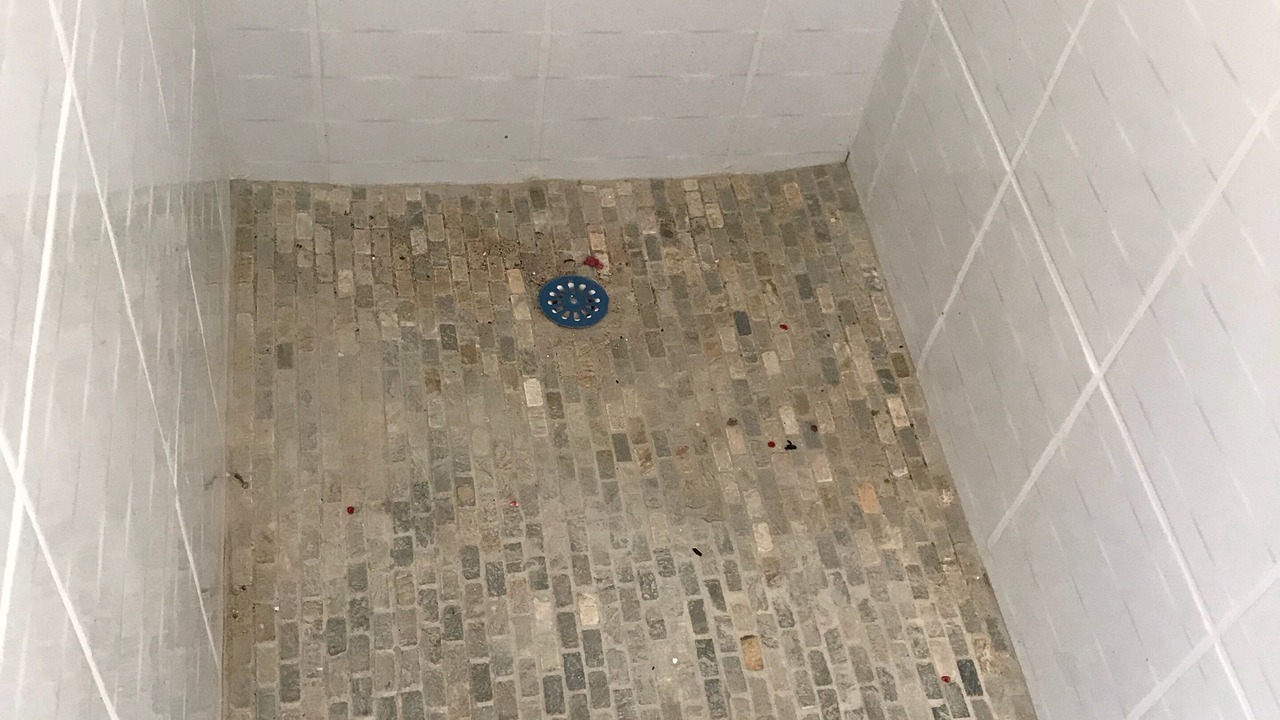 Photo of Bathroom in Clairvaux-les-Lacs
