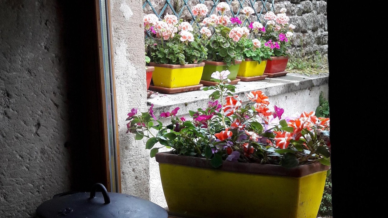 Photo of Others in Dounoux