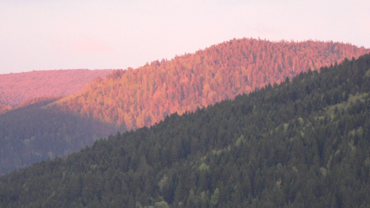 Photo of Others in Gerardmer