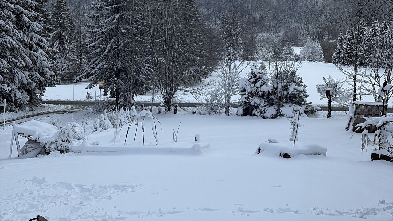 Photo of Others in Chapelle-des-Bois