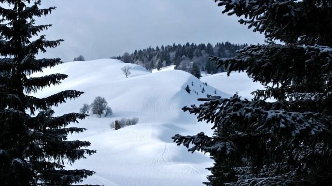 Photo of Outdoor in Chapelle-des-Bois
