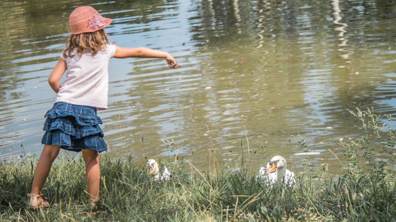 Photo of Others in La Begude-de-Mazenc