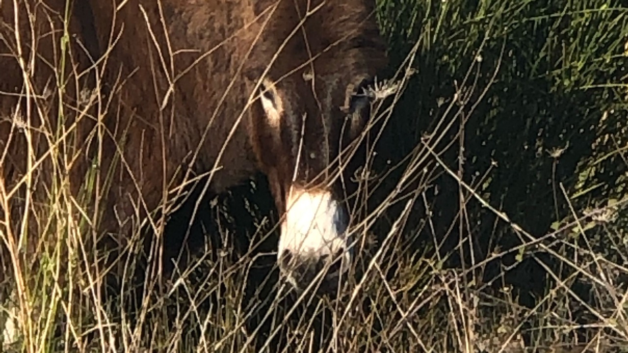 Photo of Outdoor in Venasque