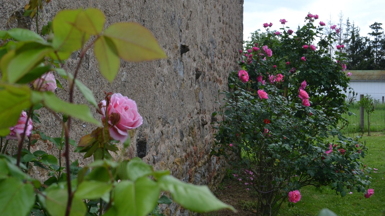 Photo of Outdoor in Cervon
