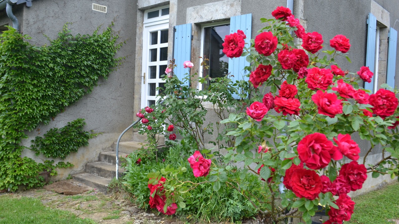 Photo of Outdoor in Cervon