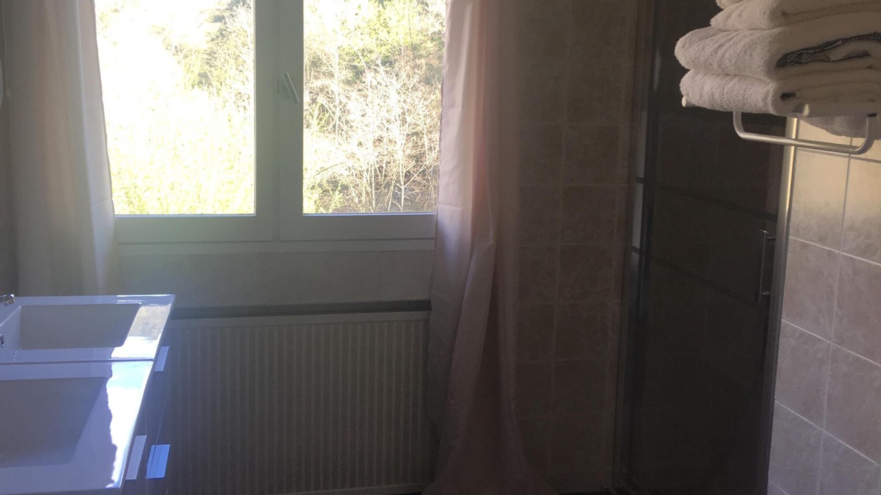 Photo of Bathroom in Saint-Barthelemy-de-Vals