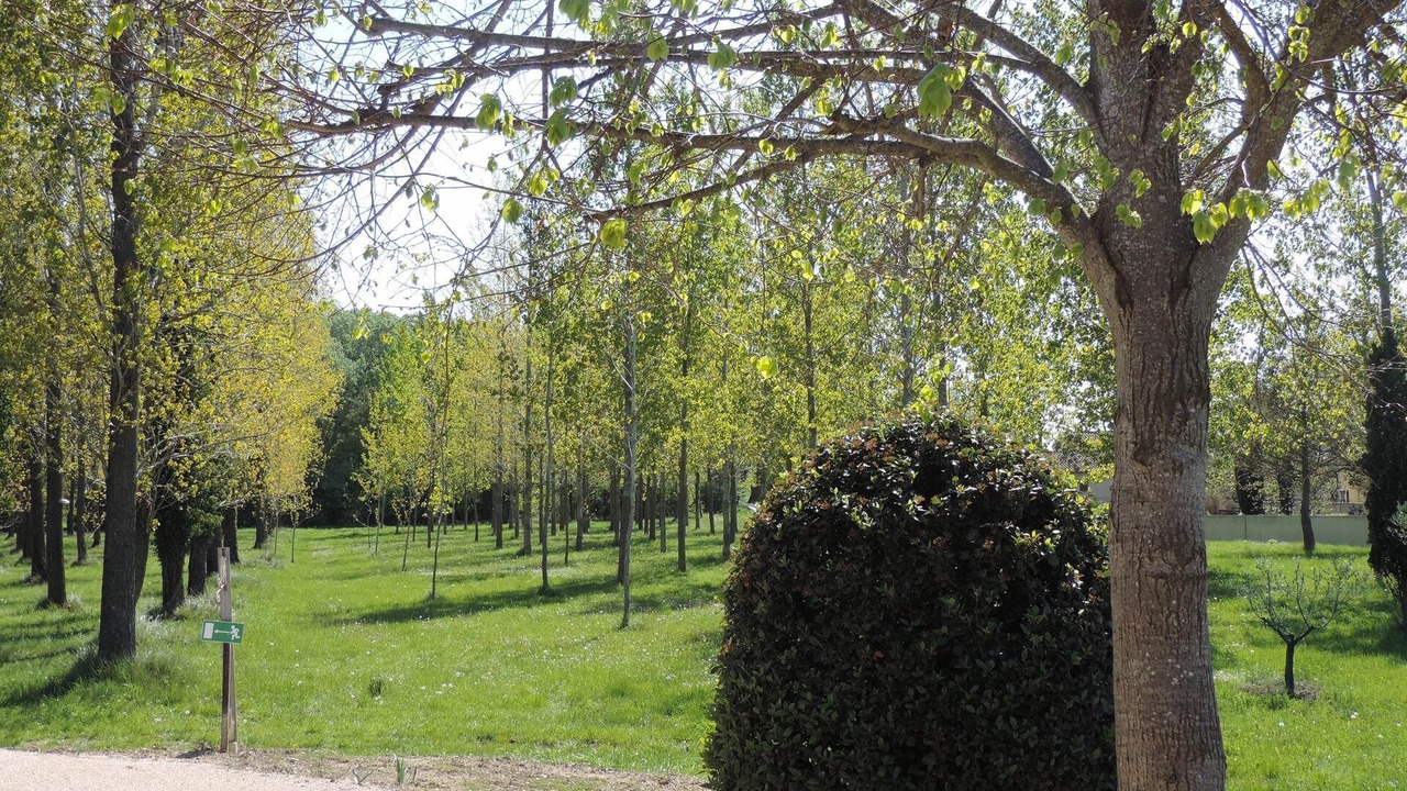 Photo of Others in Loriol-du-Comtat