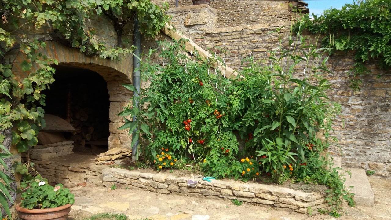 Photo of Outdoor in Mazille