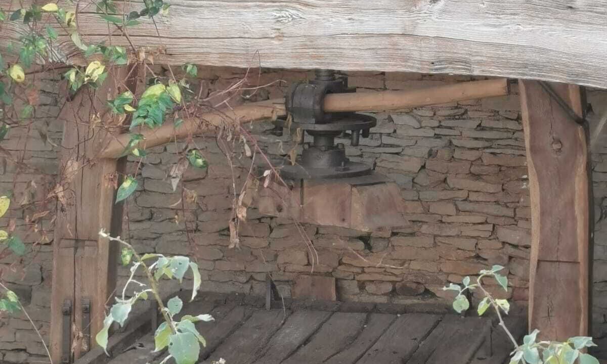 Photo of Outdoor in Mazille