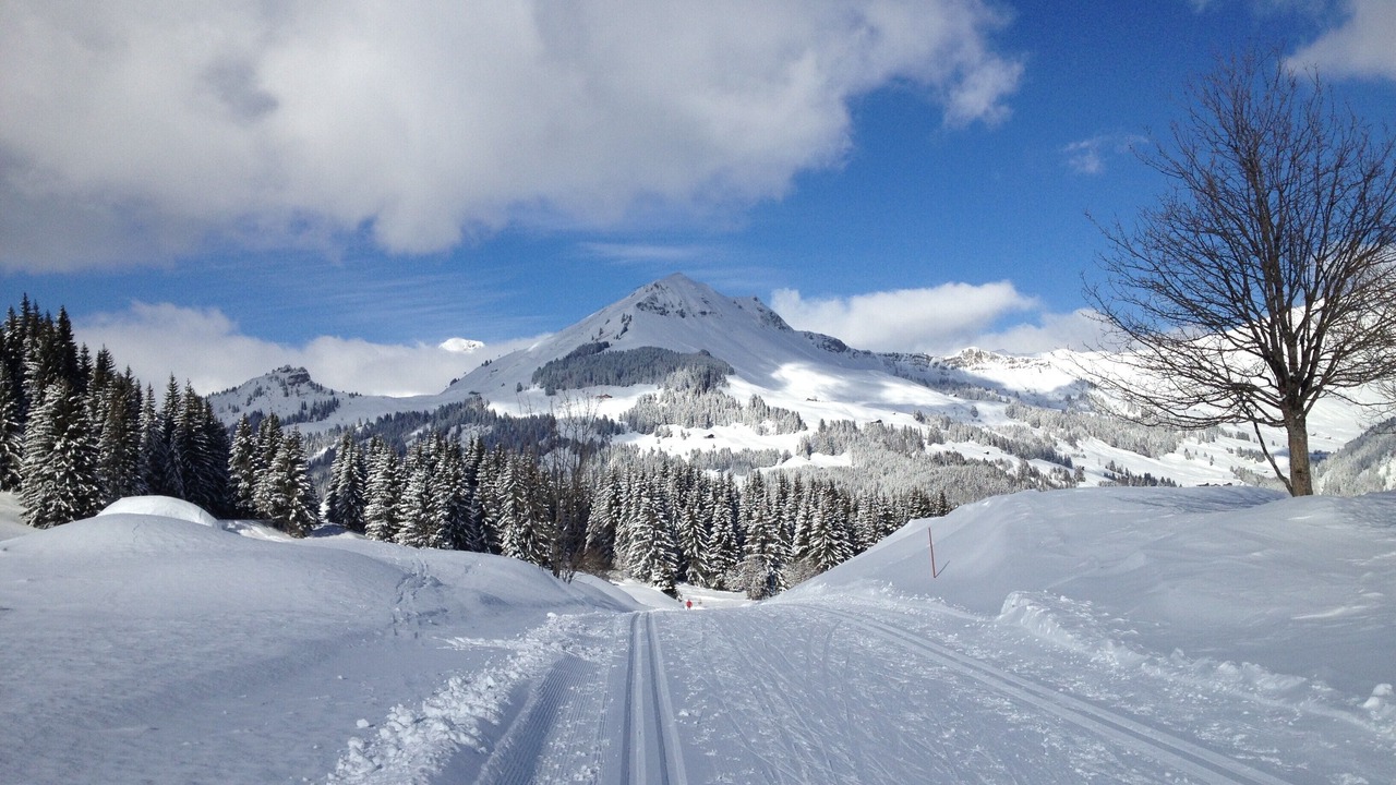 Photo of Others in La Clusaz